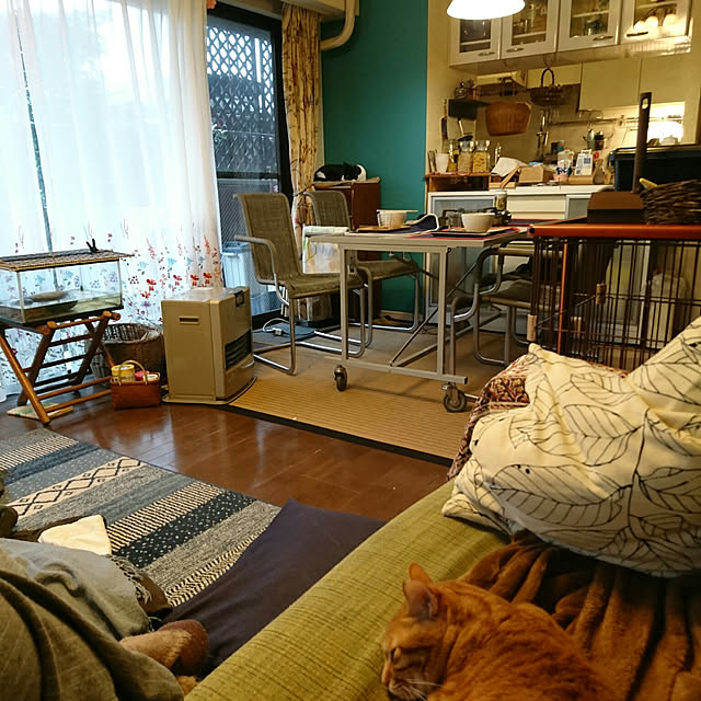 okyosan101さんの実例写真