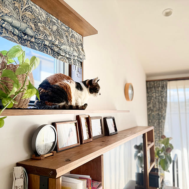 Maruさんの実例写真