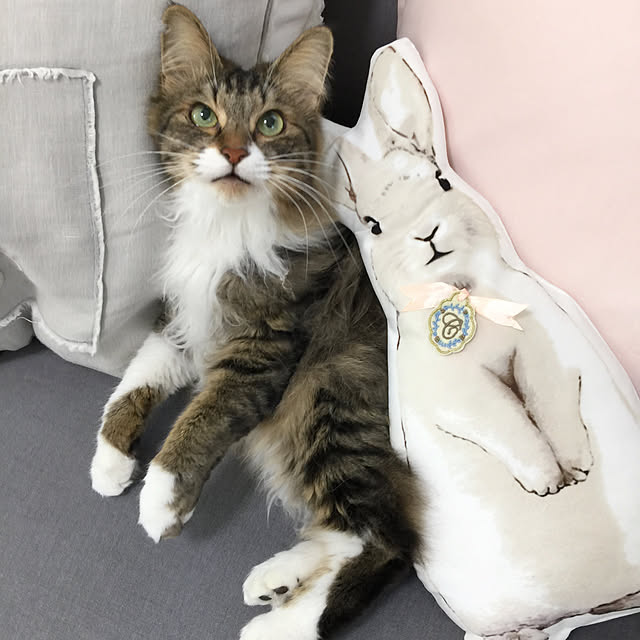 yuchiさんの実例写真