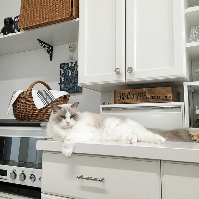 yuchiさんの実例写真