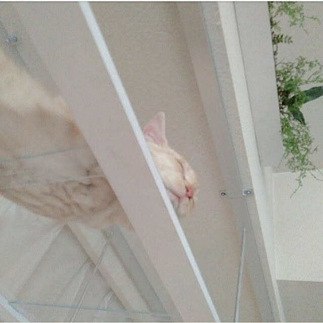 heart.emiemi57.whiteさんの実例写真