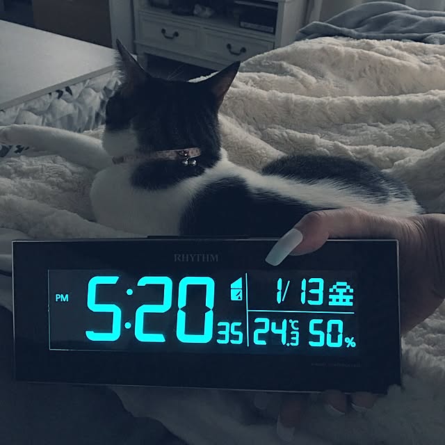 Shihoさんの実例写真