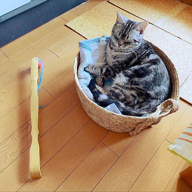 yuzuaoさんの実例写真
