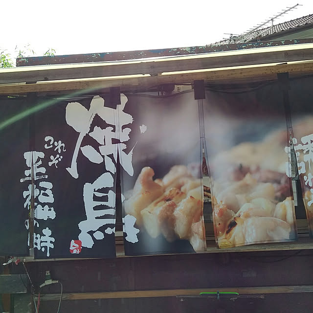 実例写真