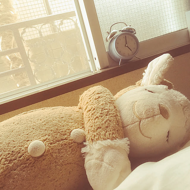 Maiさんの実例写真