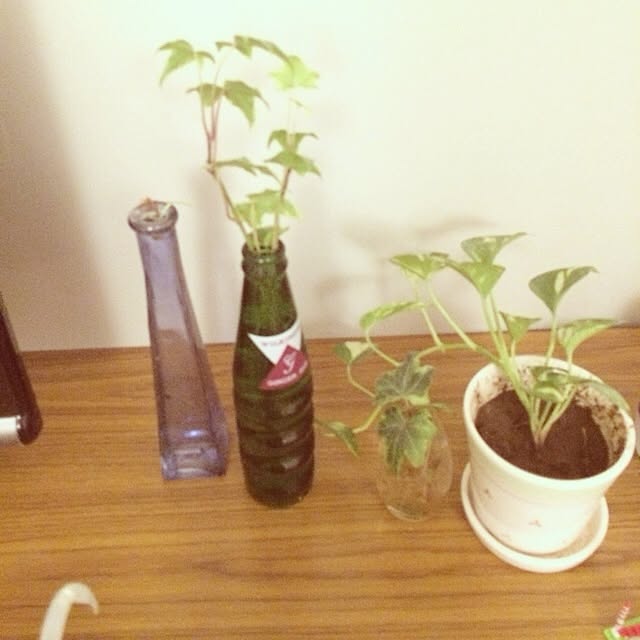 aizi828さんの実例写真