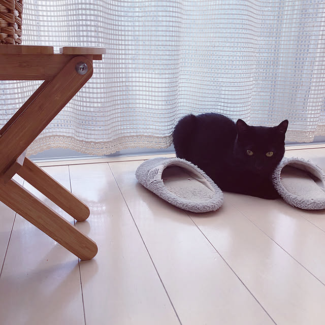 nekomiさんの実例写真