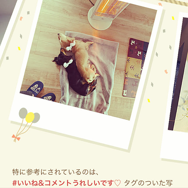 uninekoさんの実例写真