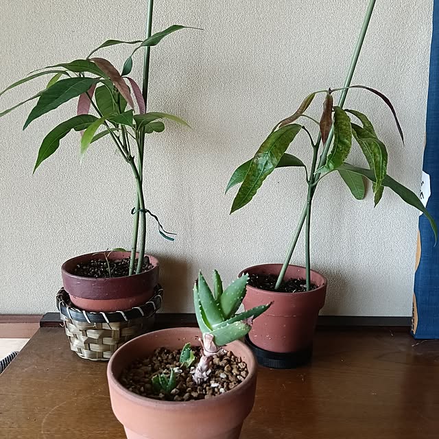 sumimarumiさんの部屋