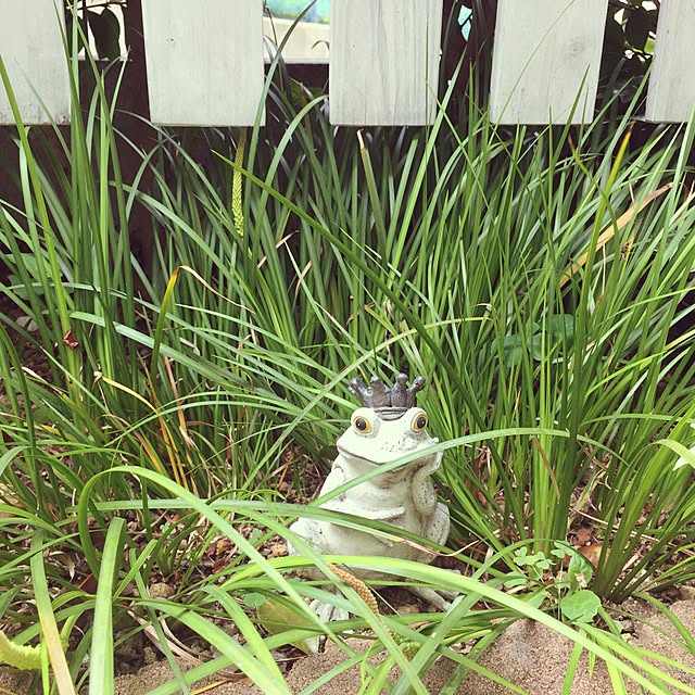 dodoさんの実例写真