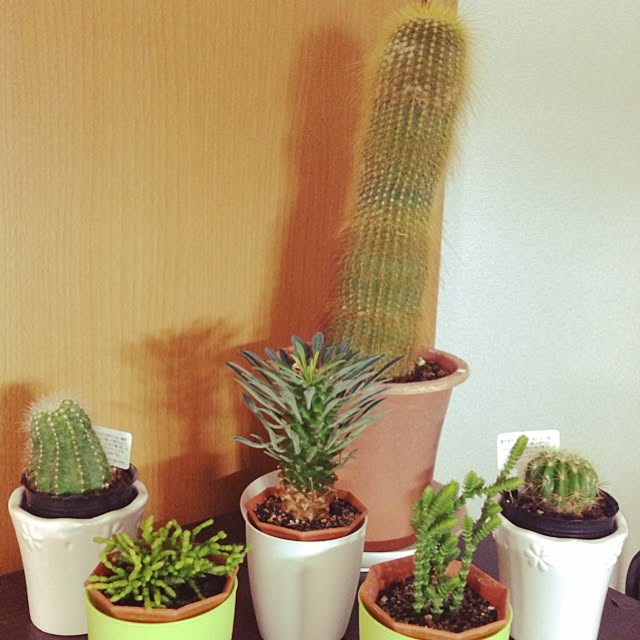Takeさんの実例写真