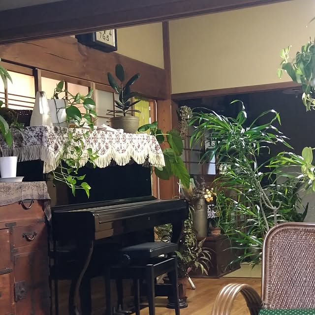 実例写真