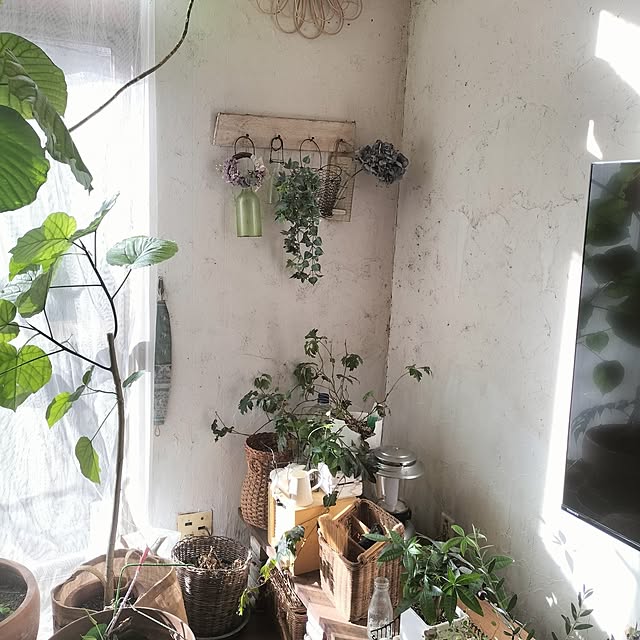 ganchan_0910さんの部屋