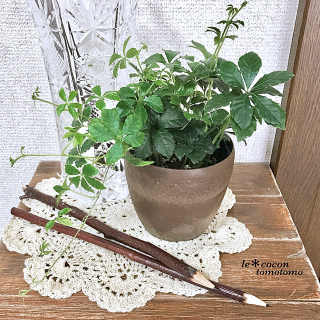 tomotomo325さんの実例写真