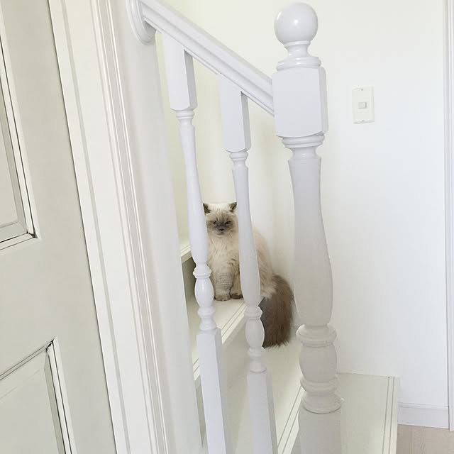 yuchiさんの実例写真