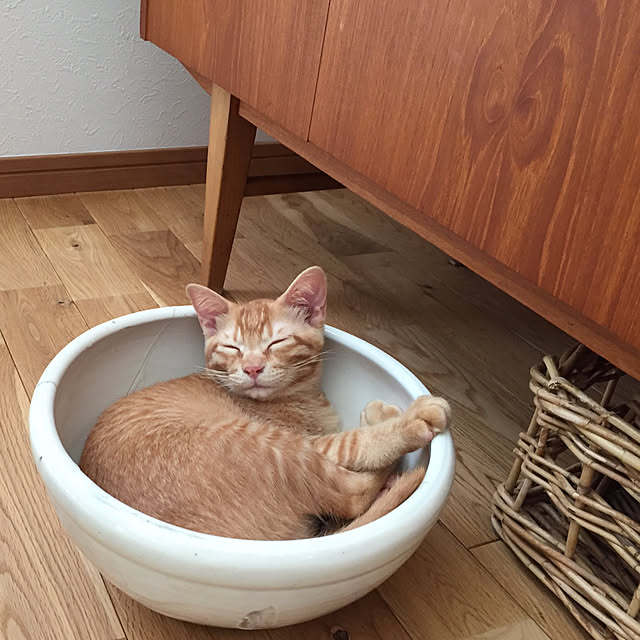 Hisashiさんの実例写真