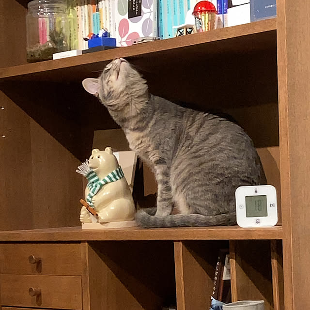 Yuccaさんの実例写真