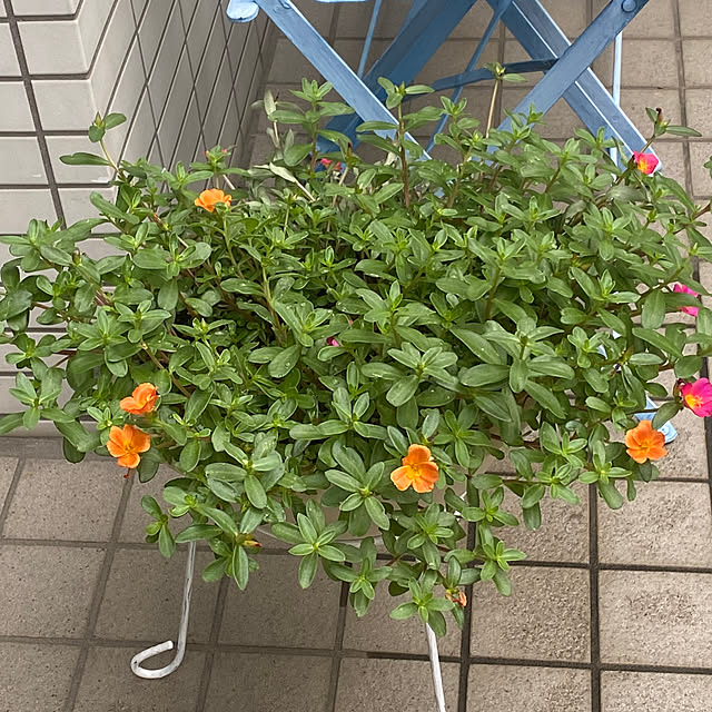 YuuKoさんの部屋