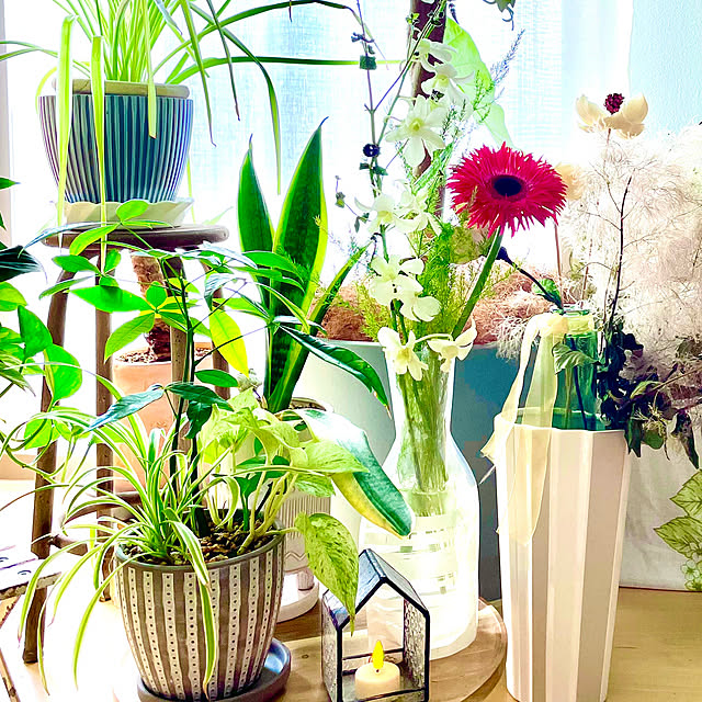 maminさんの部屋