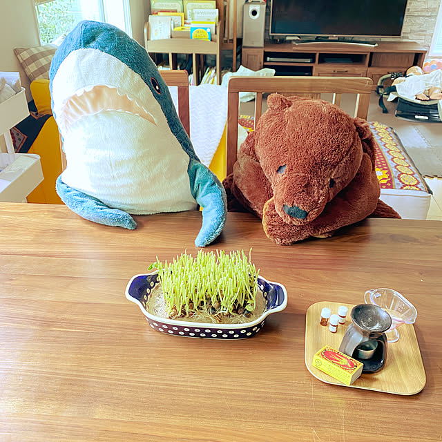 jolisukeさんの実例写真