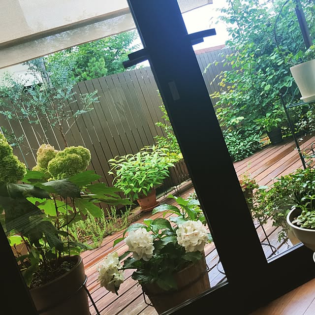 cootan195さんの実例写真