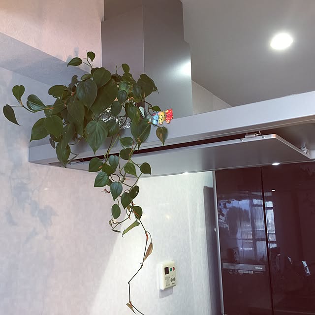 nadesikoさんの実例写真