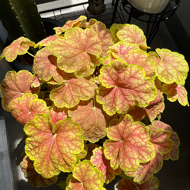 sata9さんの部屋