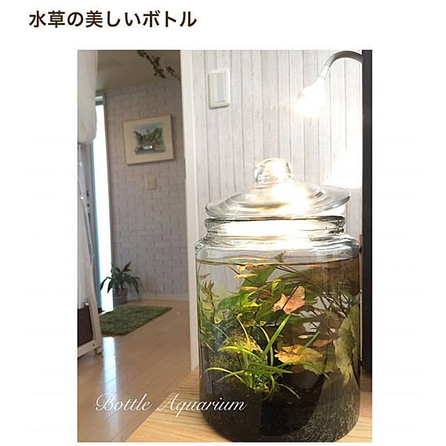 cherryさんの実例写真