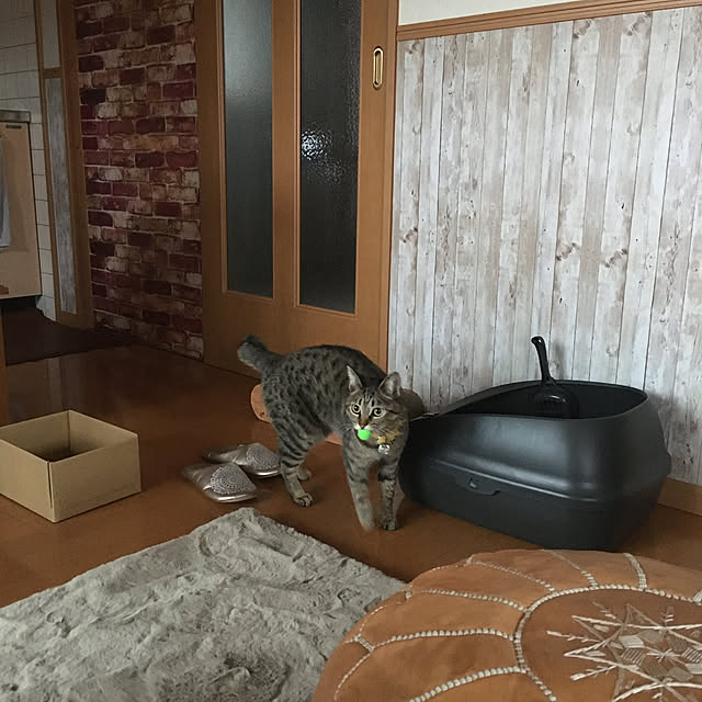 Mさんの実例写真