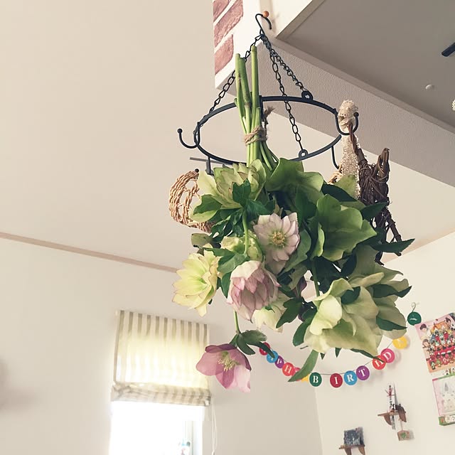 mayumiさんの実例写真
