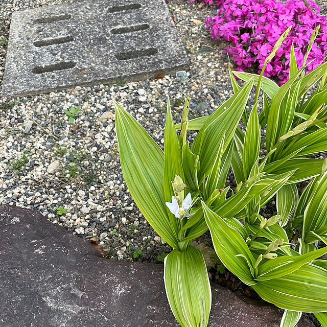 shin0719さんの実例写真