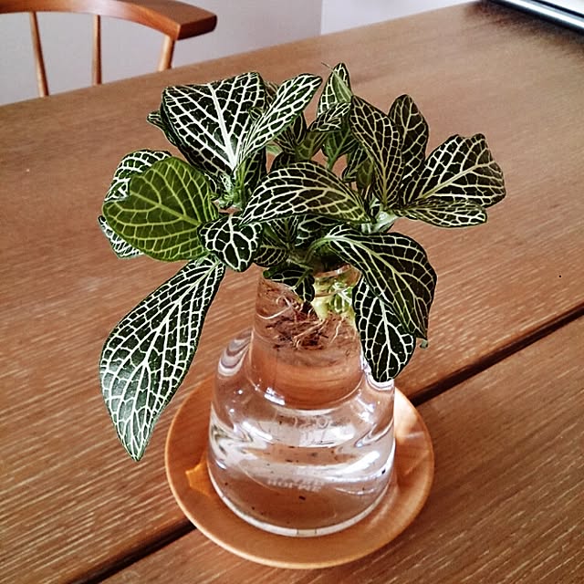 abeさんの実例写真