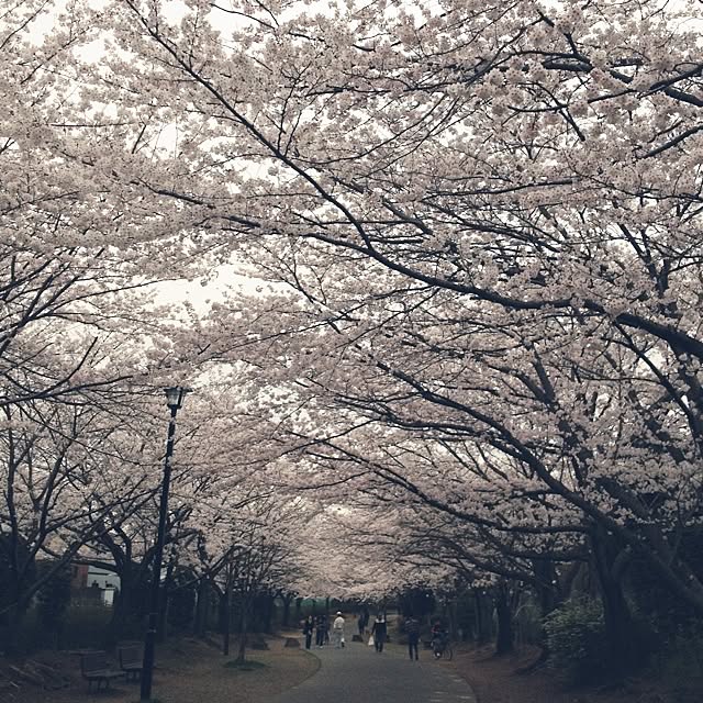 peachfragranceさんの実例写真