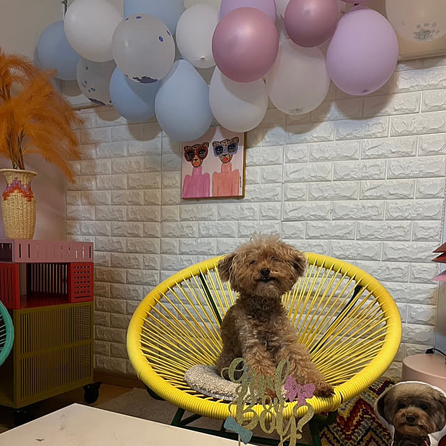 mococoさんの部屋