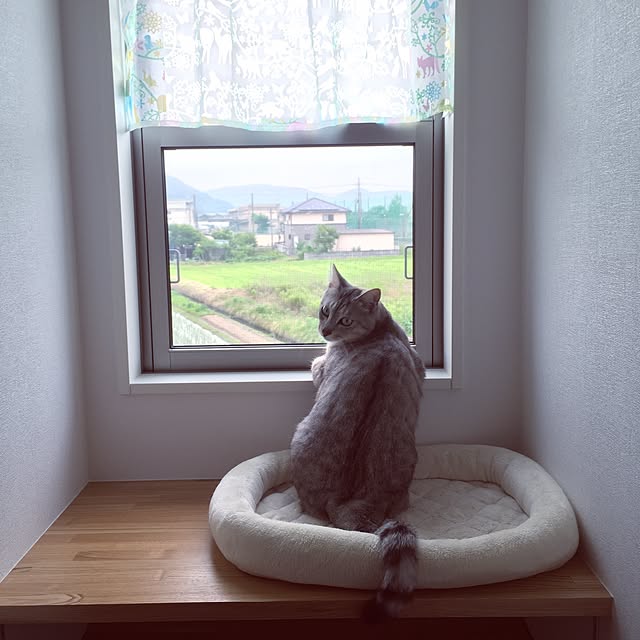 Yoshieさんの実例写真