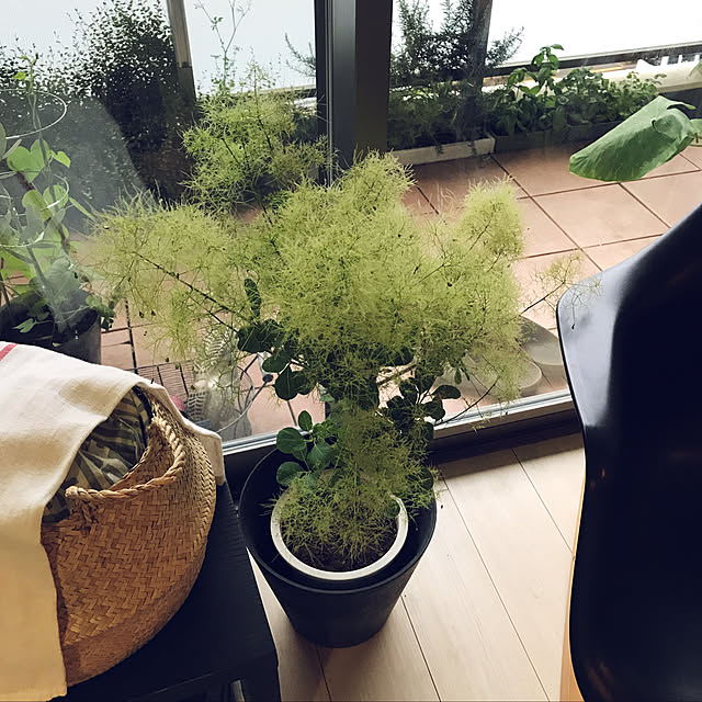 tacaco01180919さんの実例写真