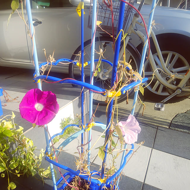 kestyukiさんの実例写真