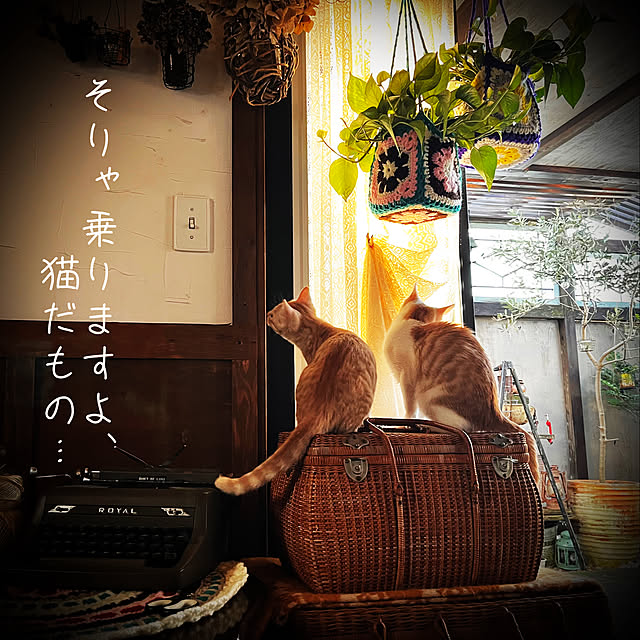 marusanさんの実例写真