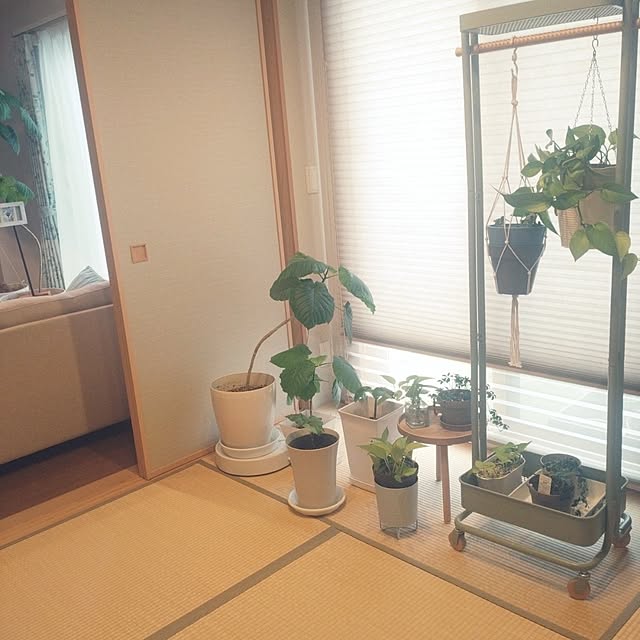 tan5さんの実例写真
