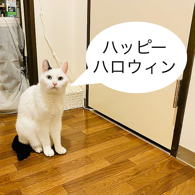 YUKAさんの部屋