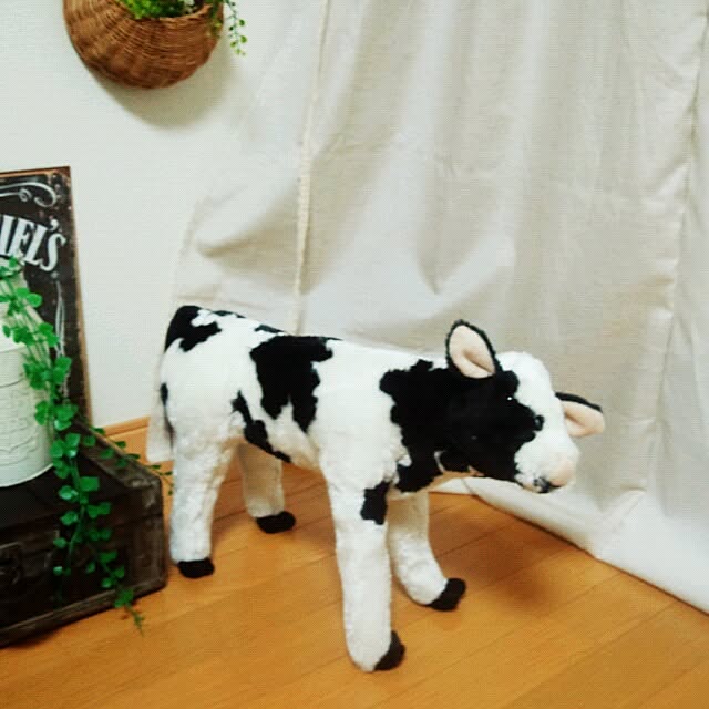 Kumikoさんの実例写真