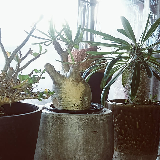 takenさんの実例写真