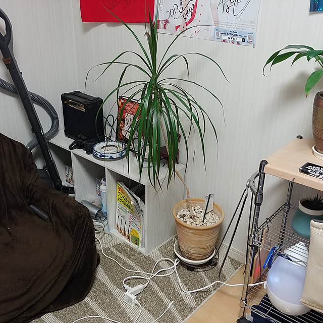 Daikiさんの実例写真
