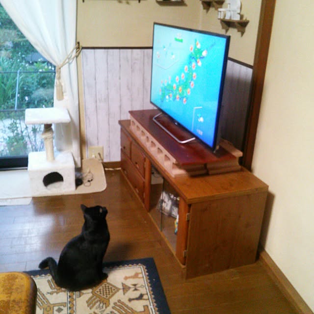 Tomopさんの実例写真