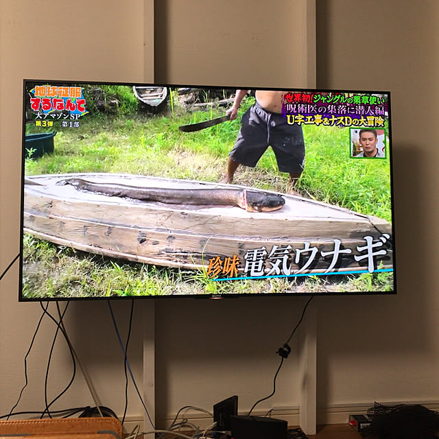 zinnguukoukiさんの実例写真