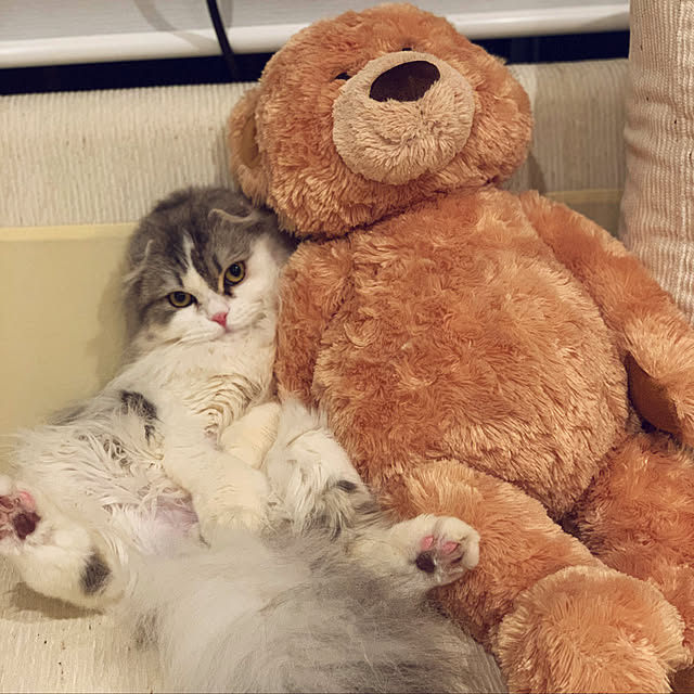 ishishinさんの実例写真