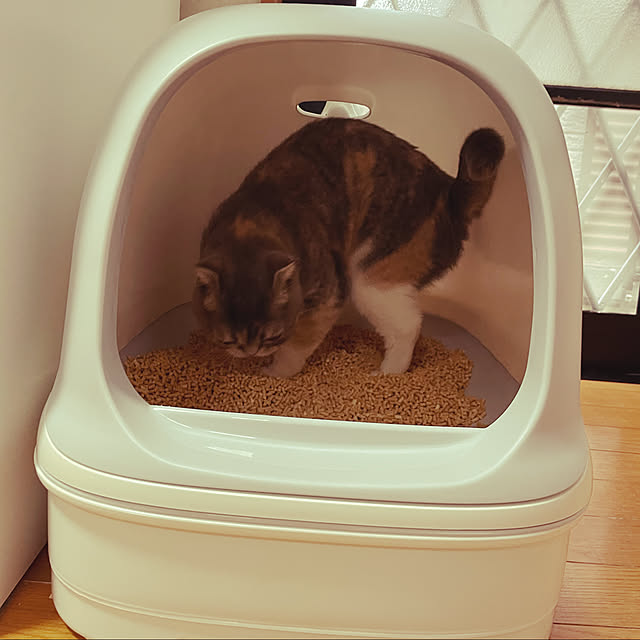 CATさんの実例写真