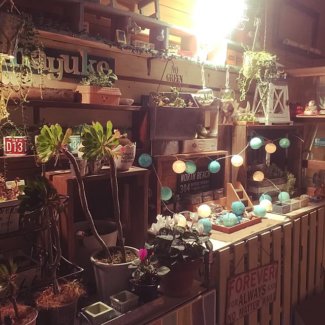 imaさんの実例写真