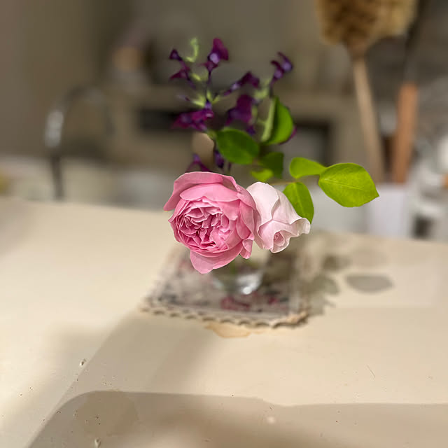 sakuraさんの部屋