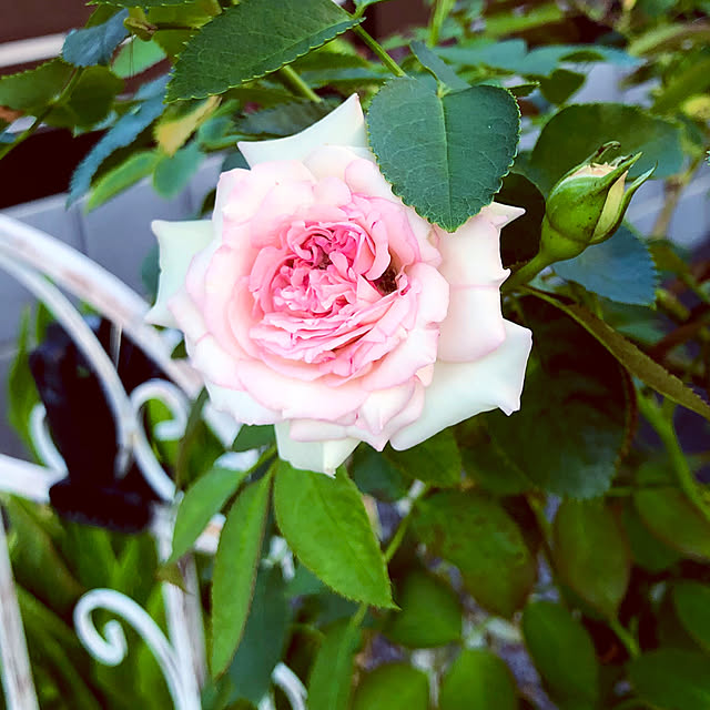 tomoさんの部屋